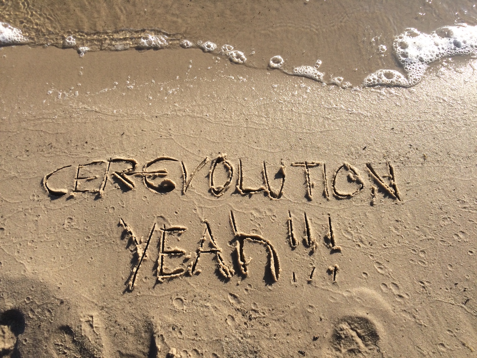 Les vacances d’été 2018 approchent pour CER EVOLUTION Les vacances d’été 2018 approchent pour CER EVOLUTION