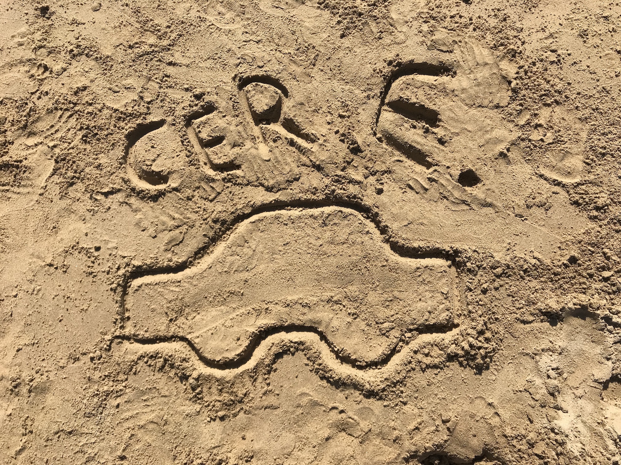 Cet été 2020, l’équipe administrative de Cer Évolution va prendre congé mais nos moniteurs restent toujours présents pour vous accompagner Cet été 2020, l’équipe administrative de Cer Évolution va prendre congé mais nos moniteurs restent toujours présents pour vous accompagner